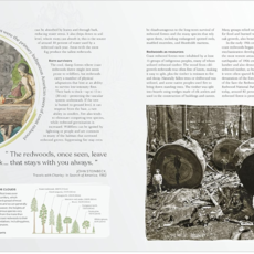 DK The Tree Book: The Stories, Science, and History of Trees