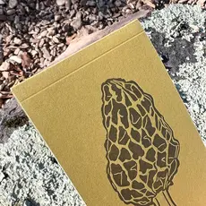 Blackbird Letterpress (Faire) Morel Mushroom Jotter