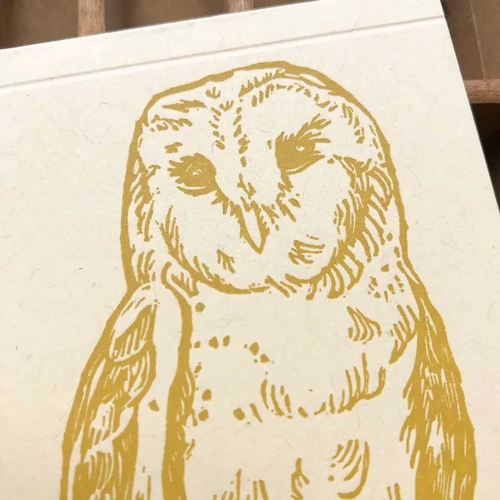 Blackbird Letterpress (Faire) Barn Owl Jotter Notepad