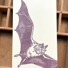 Blackbird Letterpress (Faire) Brown Bat Jotter Notepad