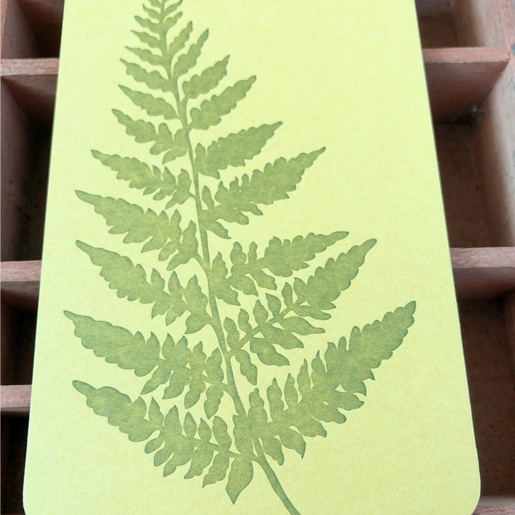 Blackbird Letterpress (Faire) Fern Jotter Notepad
