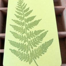 Blackbird Letterpress (Faire) Fern Jotter Notepad