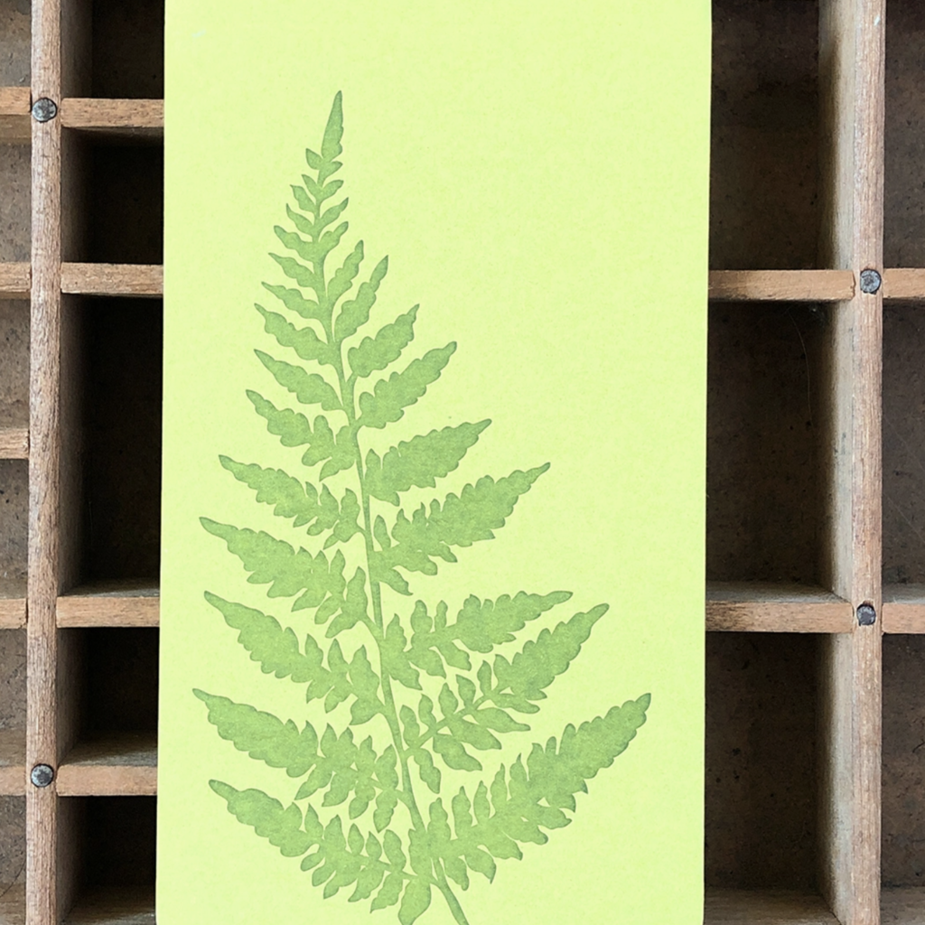 Blackbird Letterpress (Faire) Fern Jotter Notepad