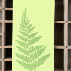 Blackbird Letterpress (Faire) Fern Jotter Notepad