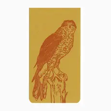 Blackbird Letterpress (Faire) Northern Goshawk Jotter Notepad