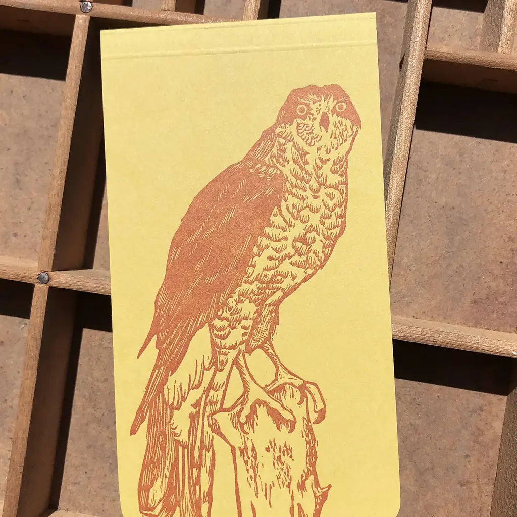 Blackbird Letterpress (Faire) Northern Goshawk Jotter Notepad