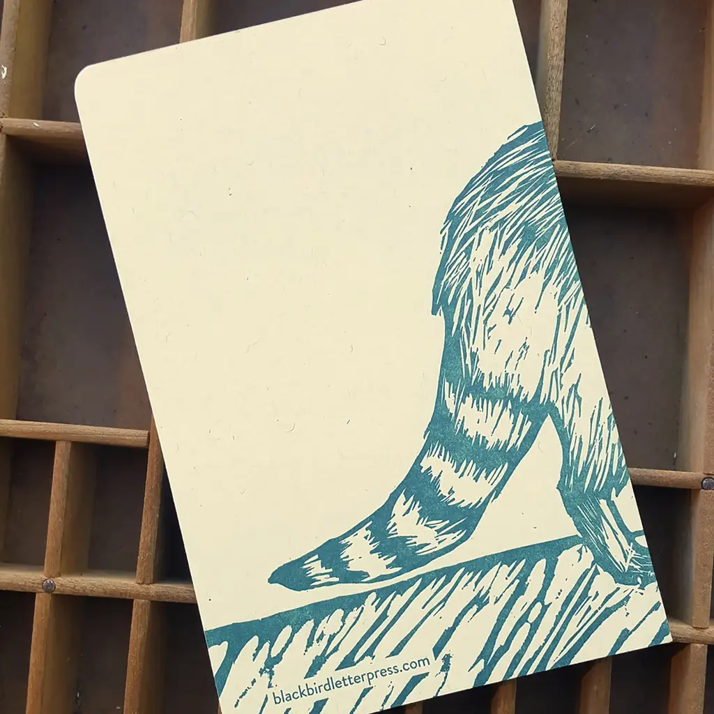 Blackbird Letterpress (Faire) Racoon Notebook