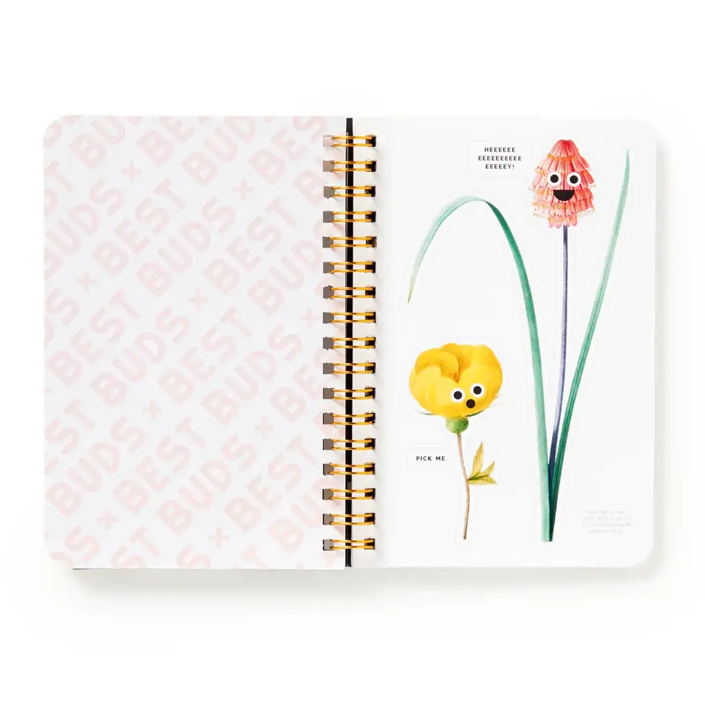 Brass Monkey Brass Monkey Best Buds Googly Sticker Book