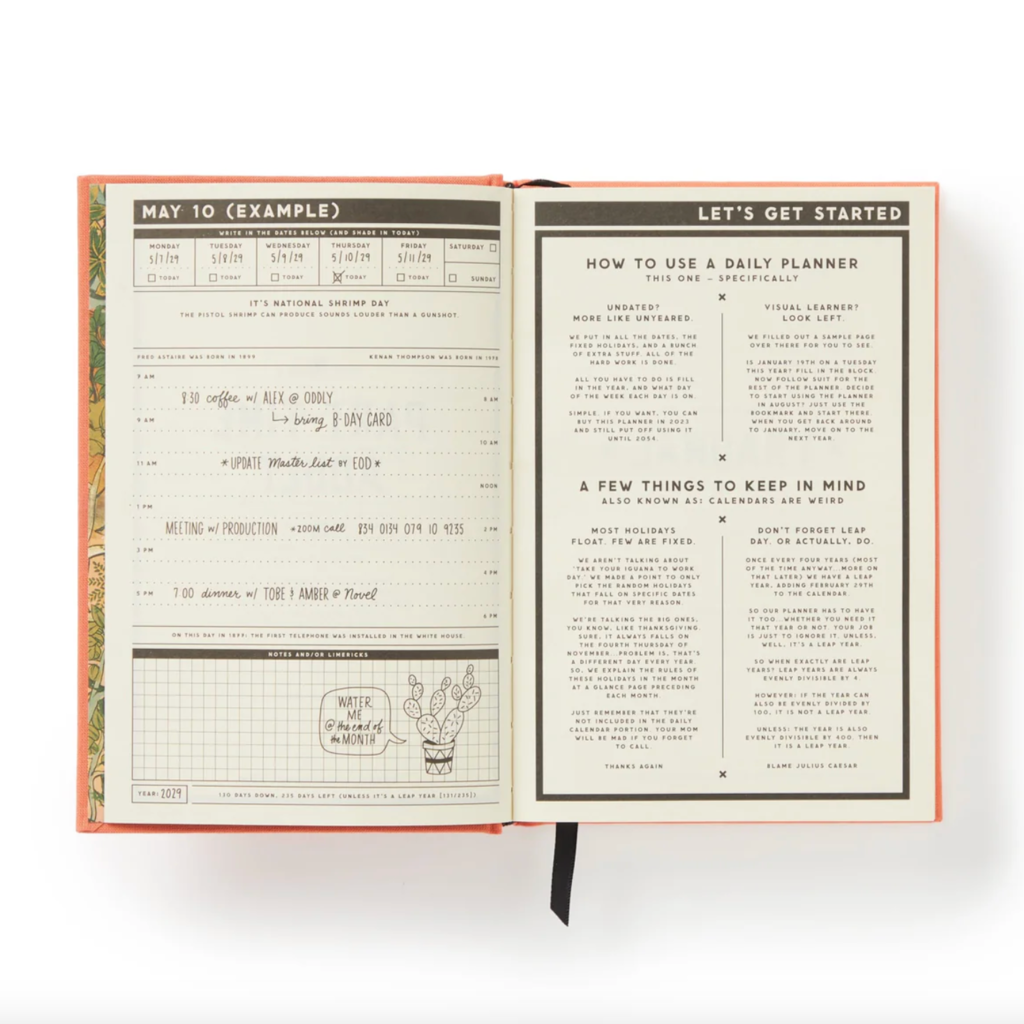Brass Monkey Brass Monkey Part-Time Adult Undated Daily Planner