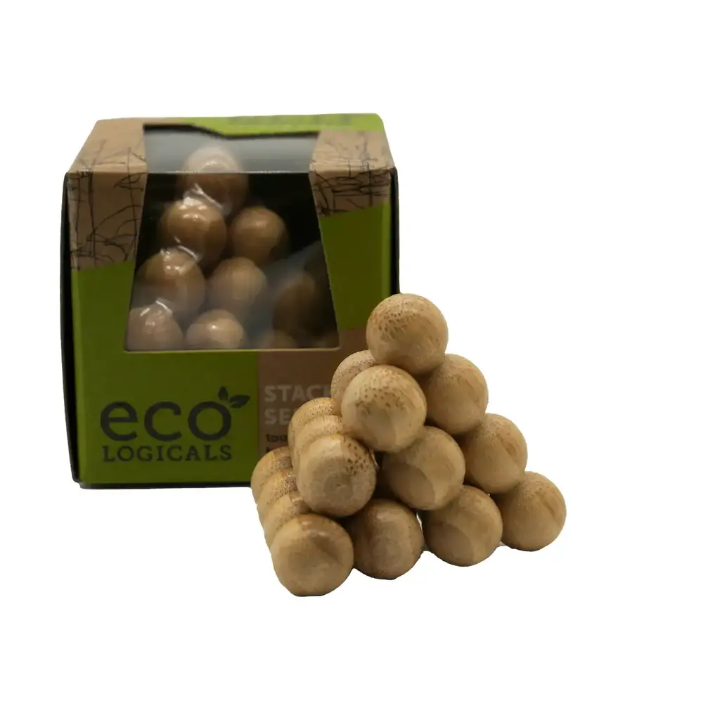 Project Genius Ecological Puzzle - Bamboo Puzzles