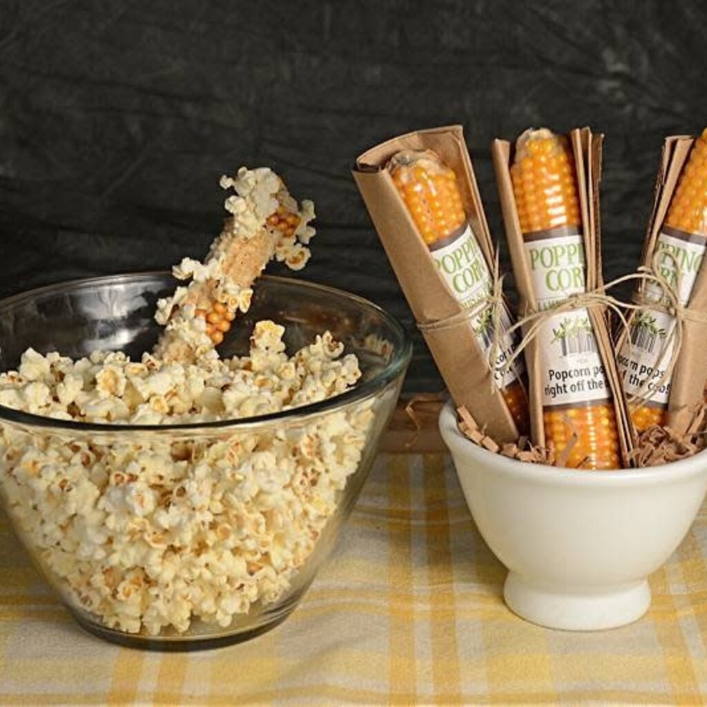 Lambs & Thyme Popping Corn Cobs