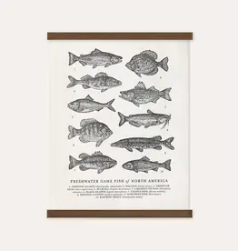 The Wild Wander (Faire) Guide to Freshwater Fish Chart (11x14)