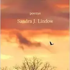 Sandra J. Lindow Chasing Wild Grief