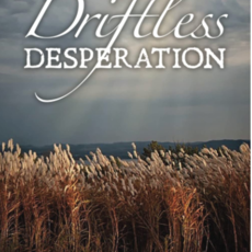 Sue Berg Driftless Desperation