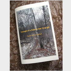 Carroll Jan Enough of a Path to Get Through