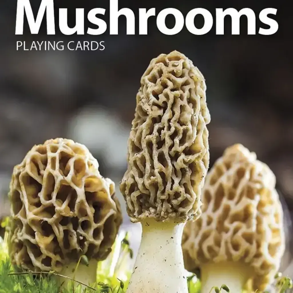AdventureKEEN (Faire) Playing Cards: Mushrooms