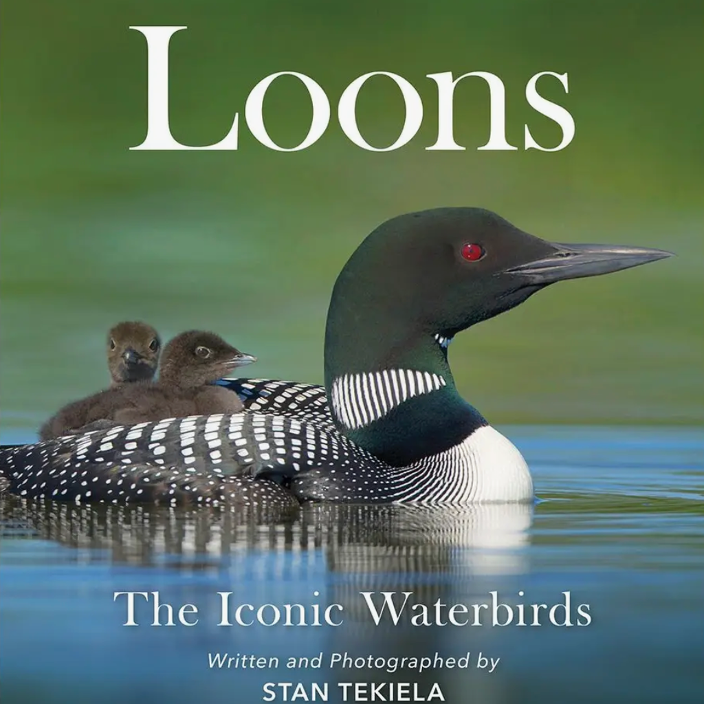 Tekiela Stan Loons: The Iconic Waterbirds