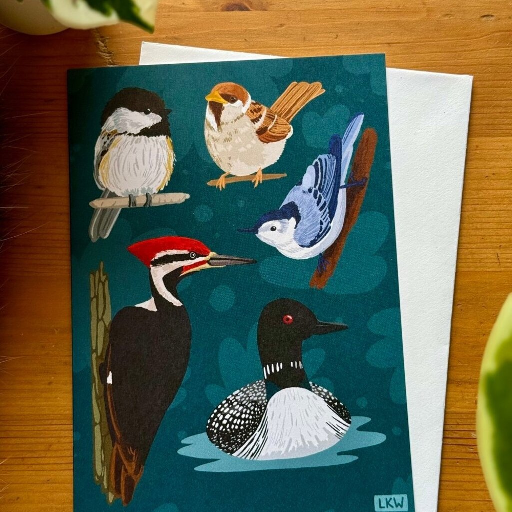 Lily Wenndt Illustration Minnesota Birds Greeting Card