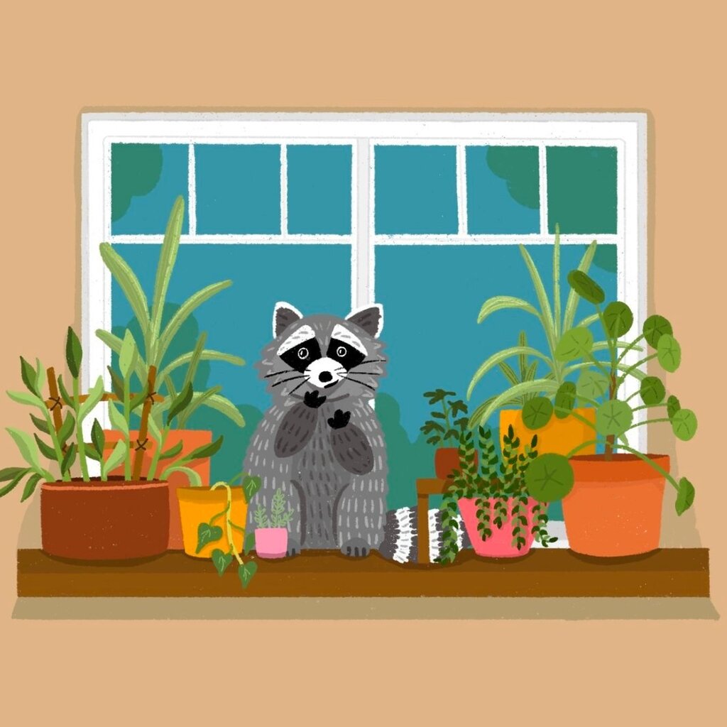 Lily Wenndt Illustration Raccoon Friend Print