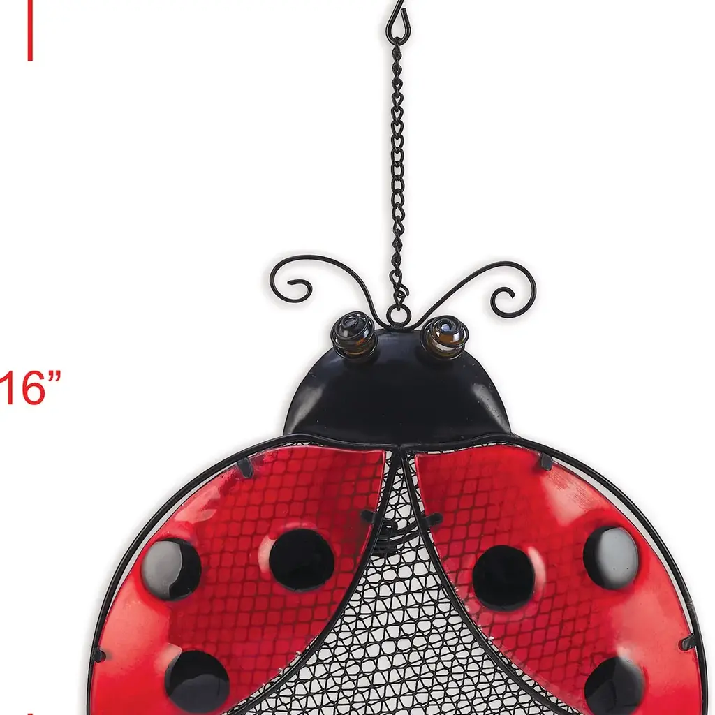 Sunset Vista Designs Ladybug Bird Feeder