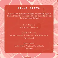 Hello Bella (Charlee Thompson) Mini Reed Diffuser