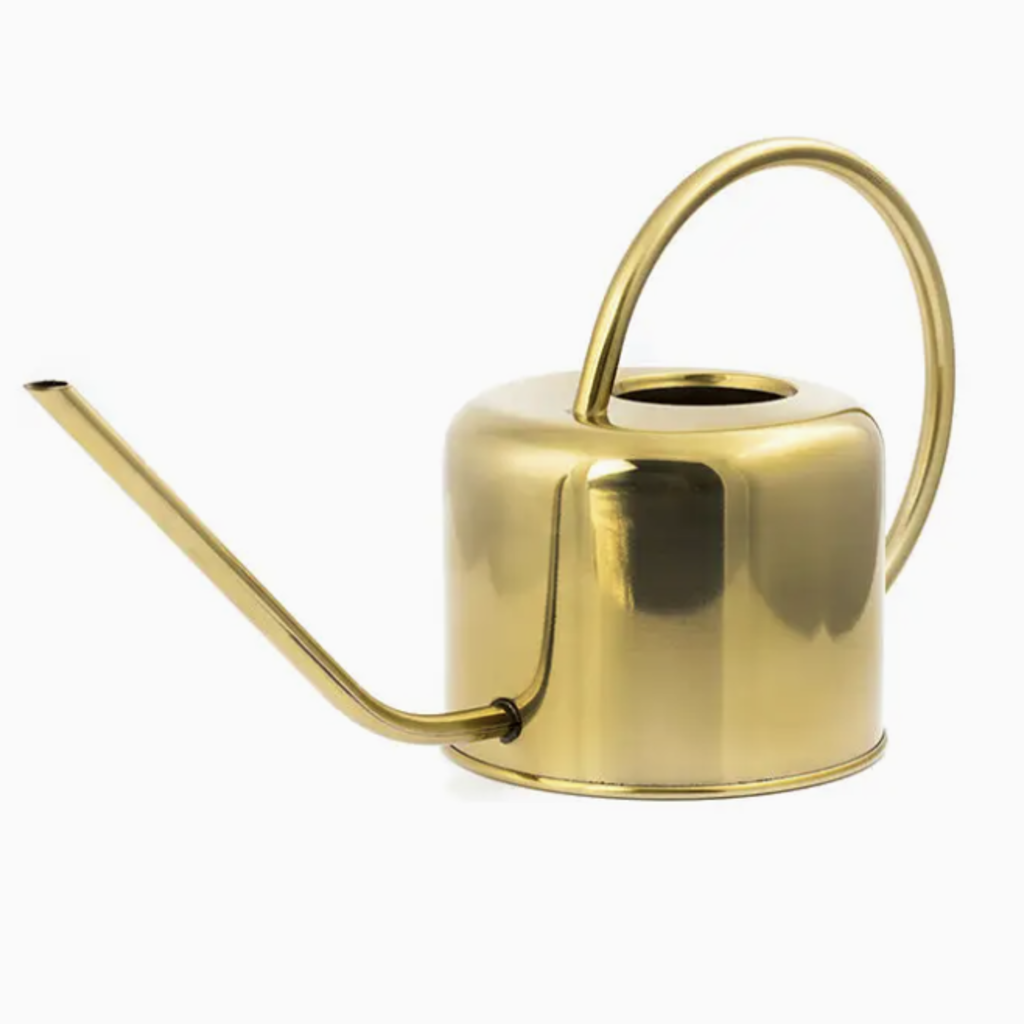 40 oz - Vintage Watering Can