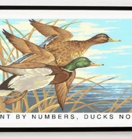 Found Image Press PN-31 Paint By Numbers, Ducks Number Two