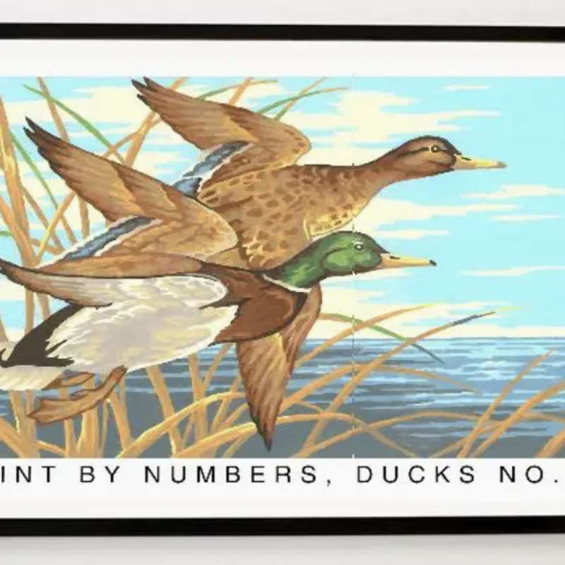 Found Image Press PN-31 Paint By Numbers, Ducks Number Two