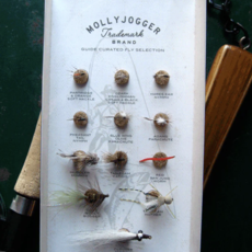 Guide Curated Fly Set