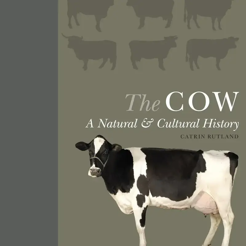Catrin Rutland Cow: A Natural and Cultural History
