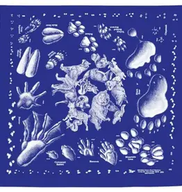 One Bay Distribution Animal Tracks Bandanna (Blue)