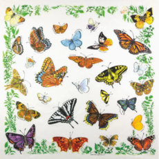 One Bay Distribution Butterfly Bandanna