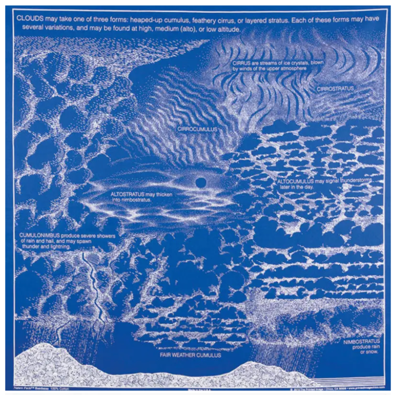 One Bay Distribution Clouds Bandanna (Royal Blue)
