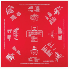 One Bay Distribution First Aid Bandanna