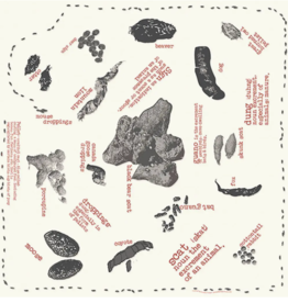 One Bay Distribution Scat Bandanna