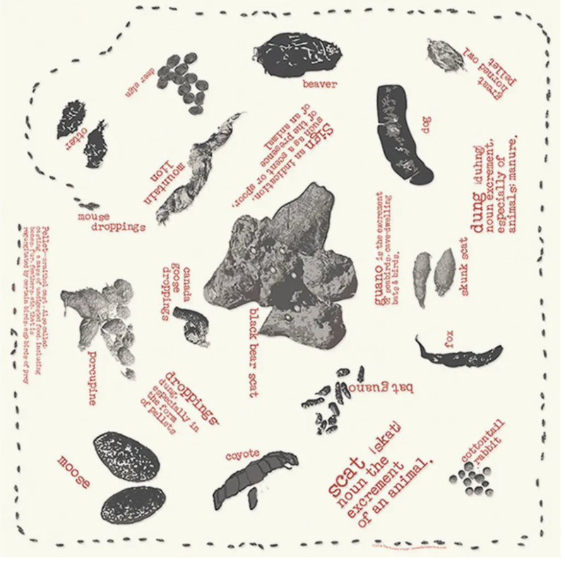 One Bay Distribution Scat Bandanna