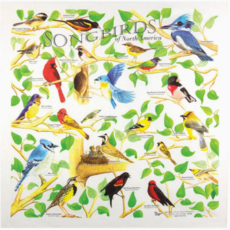 One Bay Distribution Songbirds Bandanna