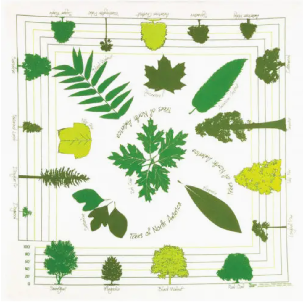 One Bay Distribution Trees of North America Bandanna