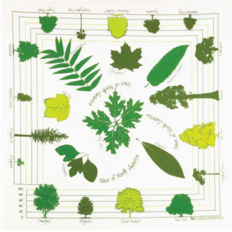 One Bay Distribution Trees of North America Bandanna