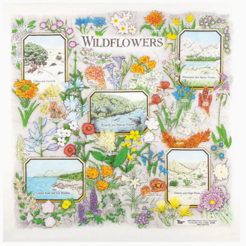 One Bay Distribution Wildflowers Bandanna