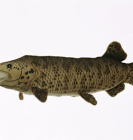 Cabin Critters Inc Plush Muskellunge 17"