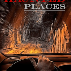 Lewis Chad The Wisconsin Guide to Haunted Places