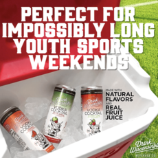 Drink Wisconsinbly Drink Wisconsinbly Vodka Cocktail - Orange