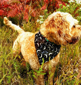 Fetching Feldys Pet Bandana