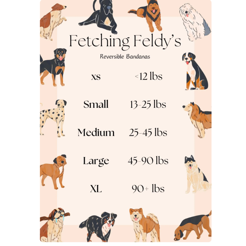 Fetching Feldys Pet Bandana