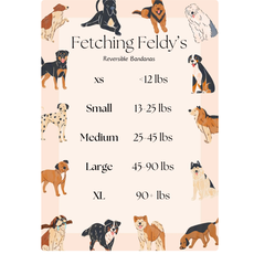 Fetching Feldys Pet Bandana