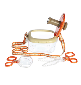 Aurora Bug Collection Set