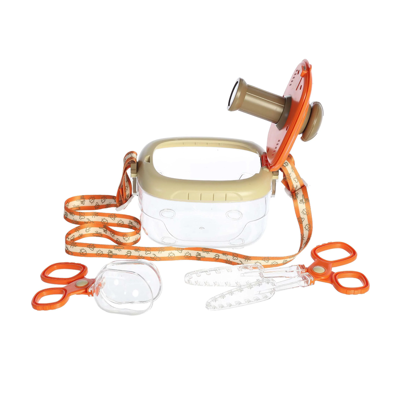 Aurora Bug Collection Set