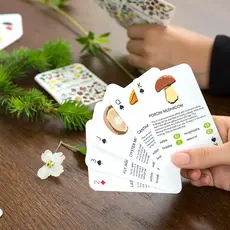 Kikkerland Playing Cards - Foragers
