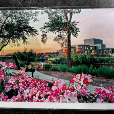 Maureen McRaith Greeting Card - Downtown River with Pink Flowers
